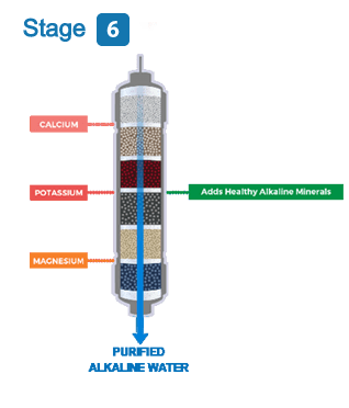 Stage 6